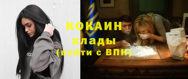 спайс Данков