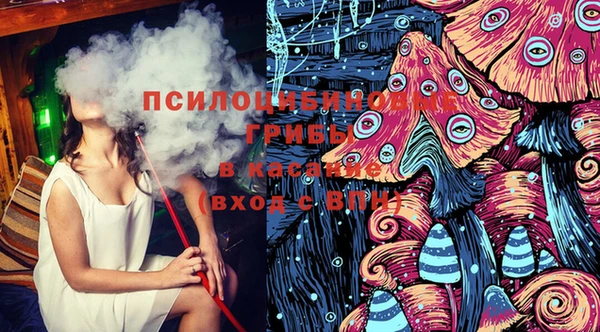молекула духа Дегтярск